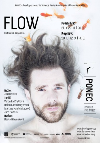 Jiří Havelka, VerTeDance a Beata Hlavenková uvádí: FLOW